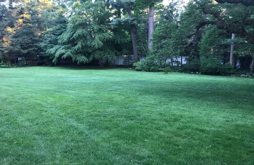 Glen Cove Casa | Alquiler Gold Coast August