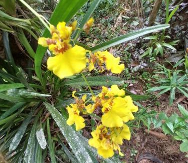 Kaluwamodara Villa | Golden Breeze Villa