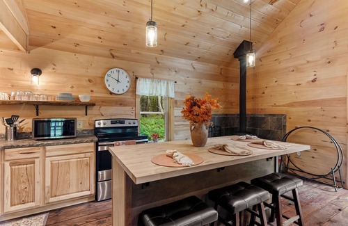 Davenport Cabina | Golden Meadows spacious Cabin with Fire-pit, near all baseball camps