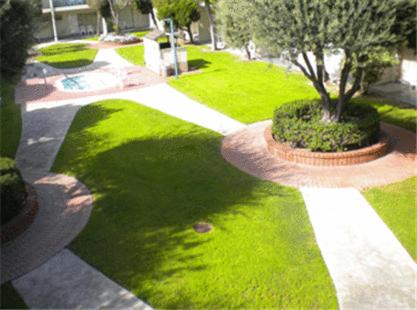 Harbor Hotel | Golden Sails Hotel