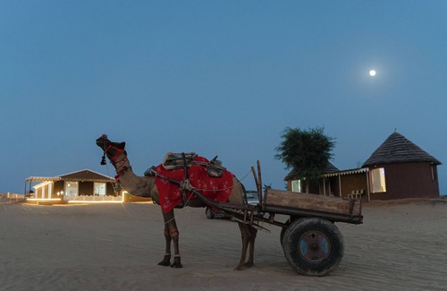 Bikaner Casa | Golden Sands Desert Camp and Resort