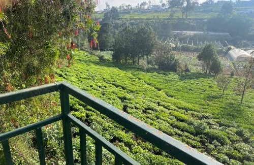 Kotagiri Casa | Golf Dale Holiday Resort