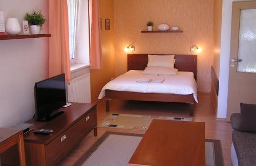Hradec Kralove Apartamento | Gonda Apartments