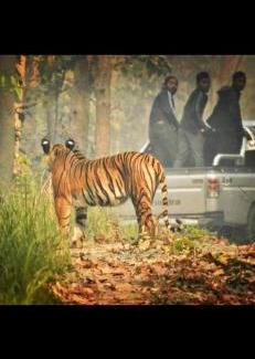 Bardia Cama Y Desayuno | Good Karma Homestay