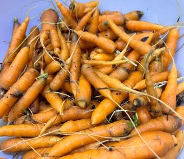 Bardia Cama Y Desayuno | Good Karma Homestay