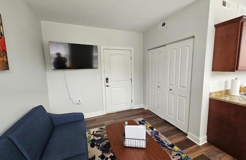 Champaign Apartamento | Gorgeous and Spacious Studio at the Historic Inman - 200