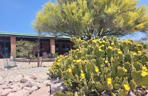 Oro Valley Casa | Magníficas vistas, paisajismo, piscina prístina cerca de las montañas Catalina, WiFi, ¡más!