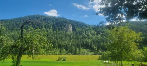 Spital am Pyhrn Casa | Gorshof