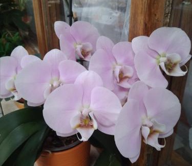 Nova Gorica Casa | Gostišče Oddih