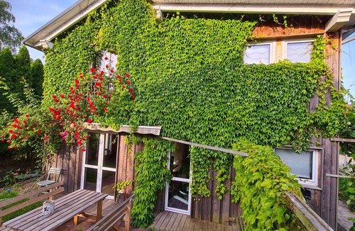 Franken Siedlung Casa | Grünes Sundchalet - Holiday home