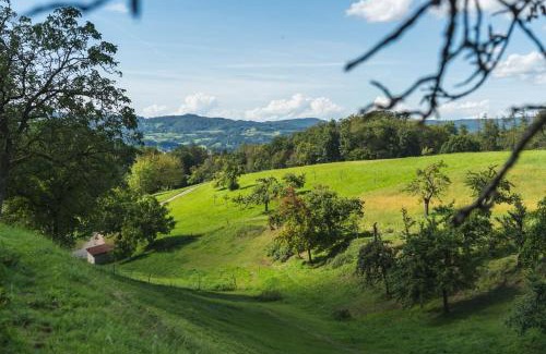 Rimbach Apartamento | Grünewaldhof in Rimbach im Odenwald
