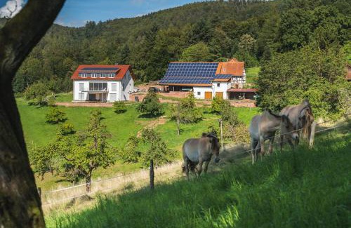 Rimbach Apartamento | Grünewaldhof in Rimbach im Odenwald