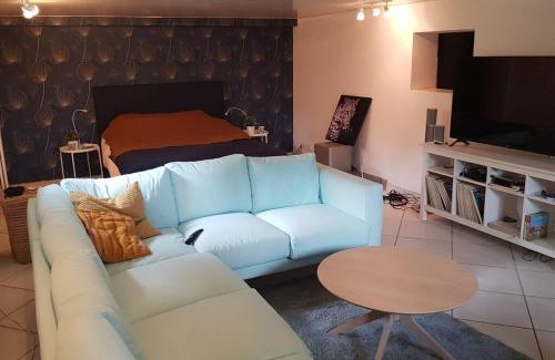 Castelnau-le-Lez Apartamento | grand Appartement climatisé avec terrasse et parking