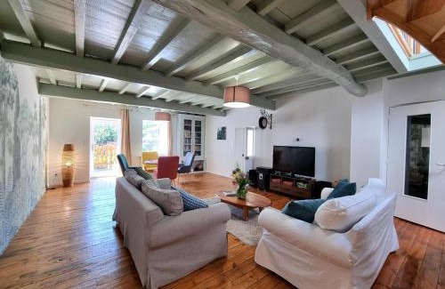 Saint-Denis-sur-Coise Casa | Grand gîte avec spa, jardin et jeux extérieurs pour 10 pers. - FR-1-496-358