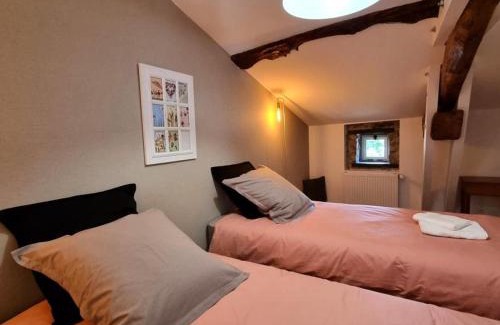 Saint-Denis-sur-Coise Casa | Grand gîte avec spa, jardin et jeux extérieurs pour 10 pers. - FR-1-496-358