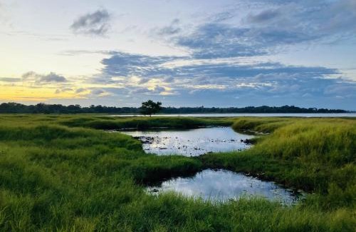 Anuradhapura Casa | Grand Refuge wilpathu safari Home made foods Bikes Bicycles Tuk tuk Bird view Lake jogging