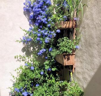 Paulhan Casa | Grande Chambre d'hôtes