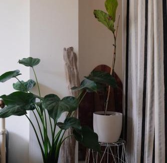 Foix Apartamento | Grande Terrasse Hyper-Centre Quiet & Cozy for 2