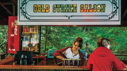 Mendenhaven Casa | Grandma's House - Large Home - DISCOUNT ON TOURS!