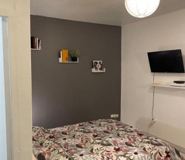 Saint-Roch - Badouillere - Chavanelle Apartamento | Great apartment avec stationnement