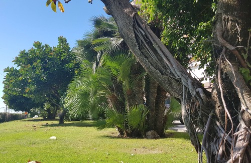 Vilassar de Mar Apartamento | Gran apartamento en la playa, muy cerca de Barcelona. Primera línea de mar