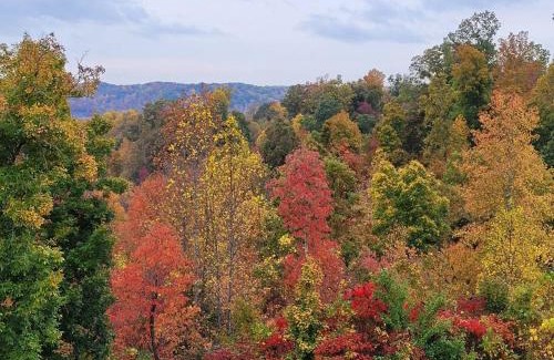 Ashland City Casa | GREAT Little Guest Suite with Private Entry & Deck! Pet Friendly & 30 Mins to Nashville!