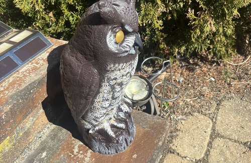 Middleburg Heights Casa | Great place for the solar eclipse