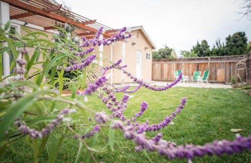 Berryessa Casa | Great Stay in San Jose