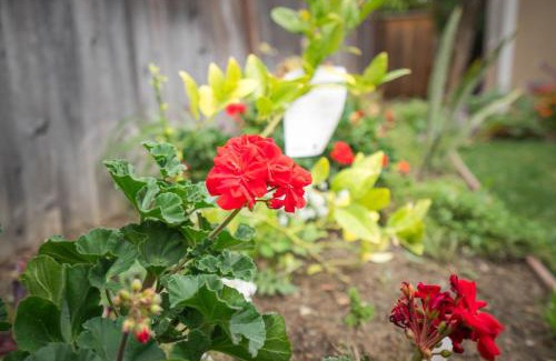 Berryessa Casa | Great Stay in San Jose