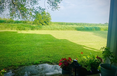 Gardner Cabaña | Green Cottage Farm Stay & Food