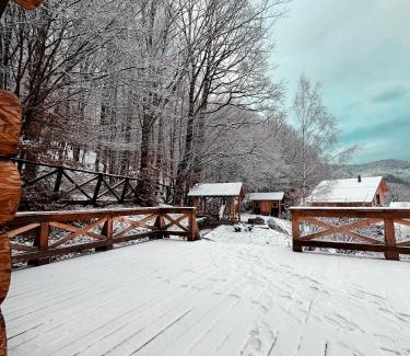 Rasnov Villa | Green Cottage