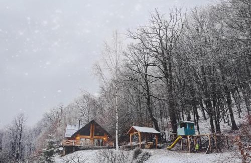 Rasnov Villa | Green Cottage