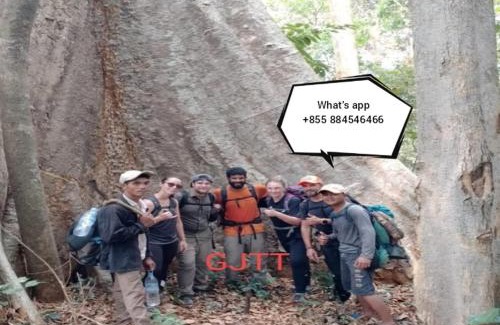 Ban Lung Apartamento | Green Jungle Trekking Tours- Homestay