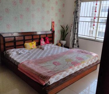 Phase 1 Casa | Green Land