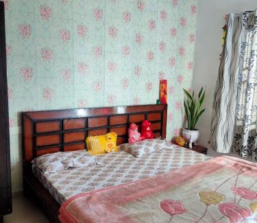 Phase 1 Casa | Green Land