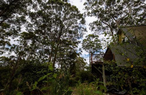 Denmark Casa | Green Leaves Cabin