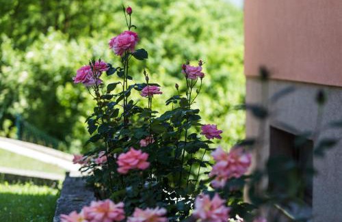 Slunj Casa | Green Oase