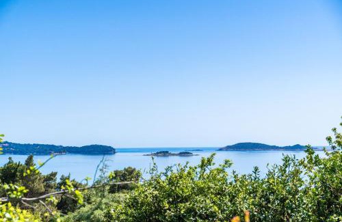 Brasina Apartamento | Green Paradise