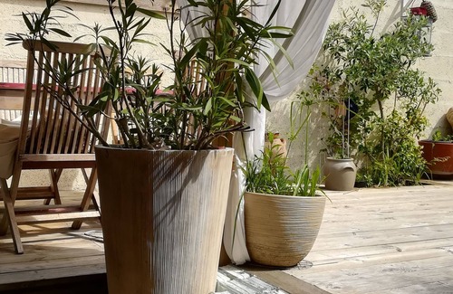 Auray Casa | Green terrace house