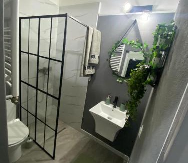 Brasov City Centre Apartamento | Green Vibes Central Brasov