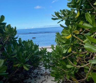 Temae Casa | Green Villa Moorea