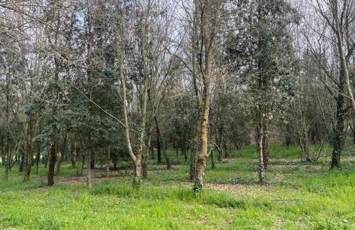 Borgo Milano Apartamento | Green Woods