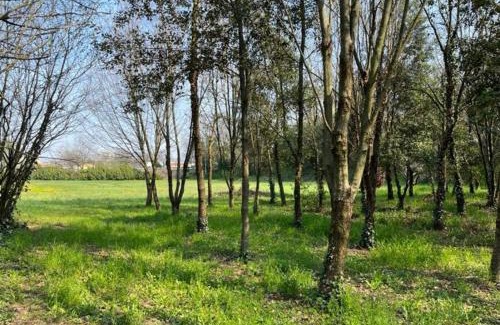 Borgo Milano Apartamento | Green Woods