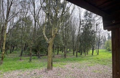 Borgo Milano Apartamento | Green Woods