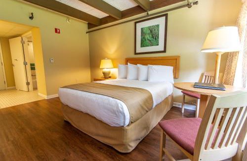 Argillite Complejo | Greenbo Lake State Resort Park