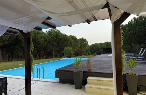 Santo Estevao Complejo | Greengoldpassion - situated in the heart of the Tagus estuary in Mata do Duque