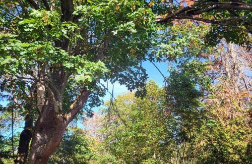 Port Angeles East Casa | Greentree Pacific House