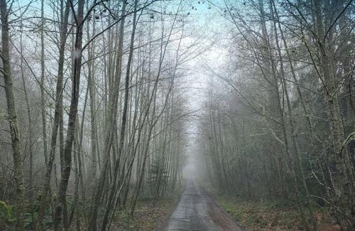 Port Angeles East Casa | Greentree Pacific House