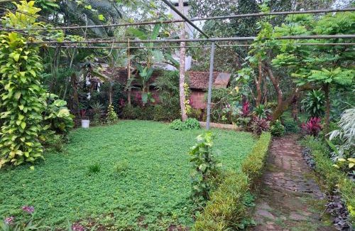 Talipparamba Casa | greenview homestay Mayyil