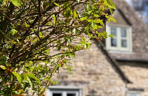 Bourton Cabaña | Greystones Cottage